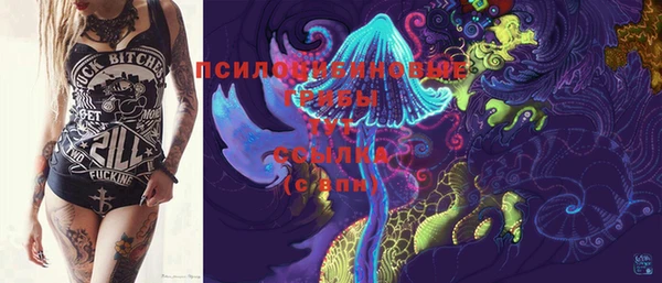 spice Лабытнанги