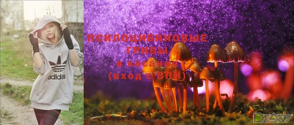 spice Лабытнанги