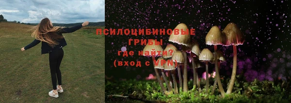 амфетамин Ладушкин